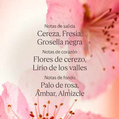 V4H206A9050C818A88AFFF833B27CE6839CR7407083P4